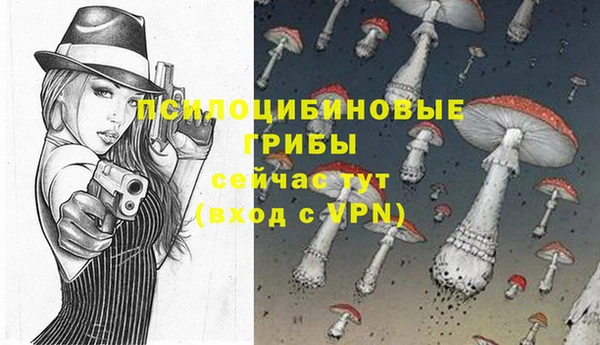 прущие грибы Абдулино