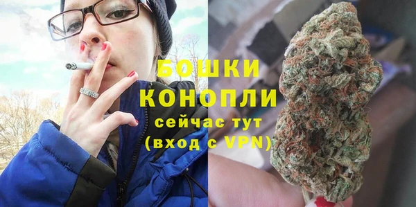 прущие грибы Абдулино