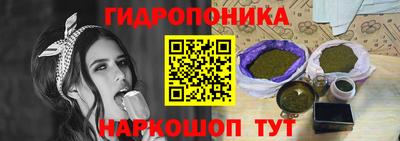 spice Моздок