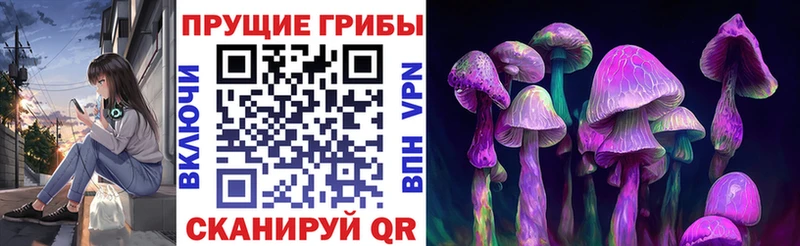 Псилоцибиновые грибы ЛСД  Тавда 
