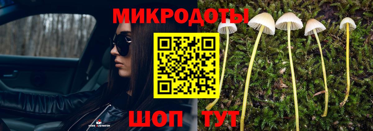 Галлюциногенные грибы GOLDEN TEACHER Тавда