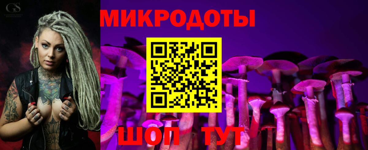 Псилоцибиновые грибы Psilocybe  Вход с VPN  Псилоцибиновые грибы Psilocybine cubensis  Тавда 