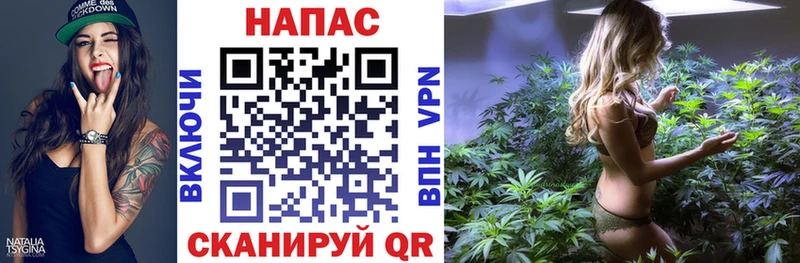 Бошки марихуана ГИДРОПОН  Тавда 